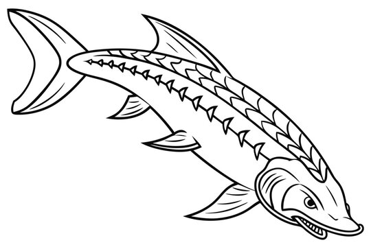 black and white sturgeon swimming clip art preview