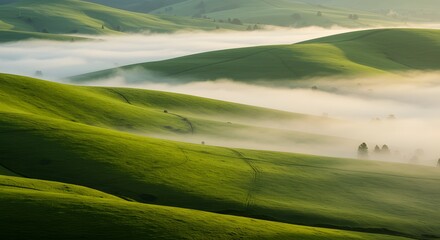 Misty Green Rolling Hills Landscape at Dawn with Soft Sunlight