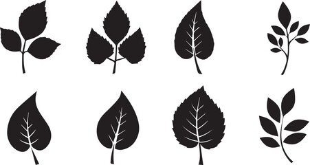 Silhouette Collection of Diverse Plant Leaves on White Background Keywords: leaves, plant leaves, silhouette, black, white background, nature, botanical, foliage, leaf shapes, organic, natural