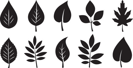 Ten Black Silhouette Leaf Icons Showing Diverse Shapes and Veining on White Background leaves plant