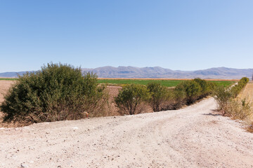 a path way to the farm in Burdur, Turkey 
