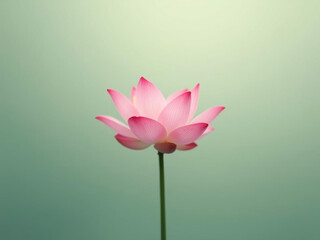 Fototapeta premium Lotus rose en pleine floraison sur fond vert pastel évoquant sérénité et beauté naturelle