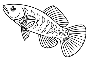 coloring page line art the killifish black vector (1) 