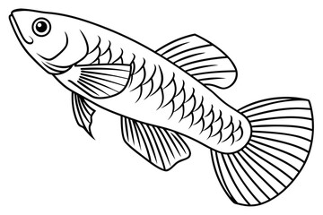 coloring page line art the killifish black vector (1) 