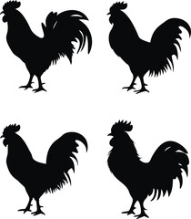Majestic Rooster Silhouettes a Study in Contrasting Forms and Poses Displaying the Quintessential Symbol of Rural Life and Poultry