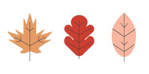 Autumn leaves set. Simple leaf isolated. Pack for autumn season web design. Vector illustration