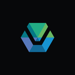 Geometric Hexagon Letter V Logo Design Vector Template