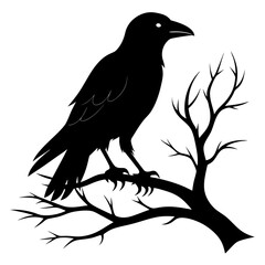 Black Silhouette Crow on Tree Limb