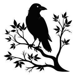 Black Silhouette Crow on Tree Limb