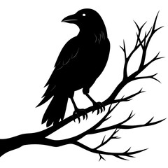 Black Silhouette Crow on Tree Limb