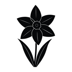 black and white flower isolated