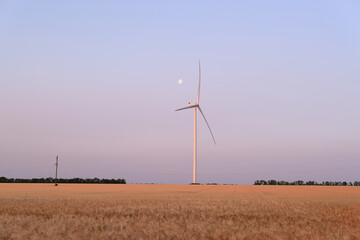A lone wind turbine stands in a golden field under a pastel sky with a full moon visible above it.