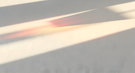 Overlapping Palm Shadows and Textures on a Light Background