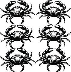Minimalist Graphic Design of Six Crabs Each in a Unique Pose with Clean Black Ink Outlines


