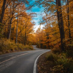 Fototapeta premium road in autumn forest