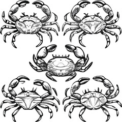 Stylized Crab Design with Six Different Poses Symmetrical Composition and Classic Black Ink Outlines

