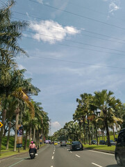 Stylish home decor with a collection of various potted plants arranged on minimalist floating wall shelves.