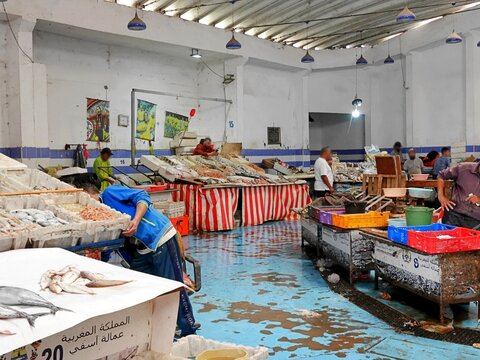 モロッコのサフィの魚市場（フィッシュマーケット）