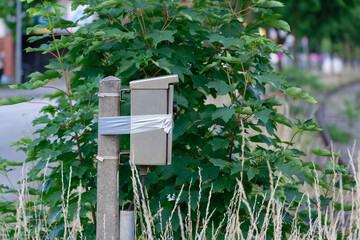 Concrete post with taped metal box behind bush near Railway Tracks