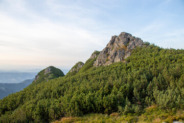 Fototapeta premium Rocky summit rising above pine-covered slopes in Tatra Mountains, Poland. Steep green slope with rocky summit and stone debris