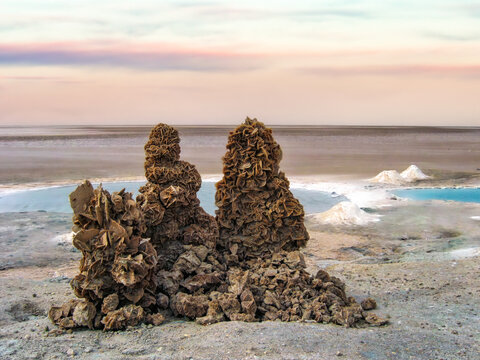 Crystalline salt towers bloom like desert fossils near a turquoise pool at Chott el Djerid. Geological time and heat sculpt organic architecture from mineral patience.