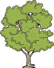 tree with green leaves