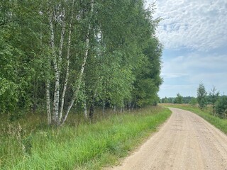 road in the forest