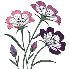 pink and white agrostemma chocolate chip