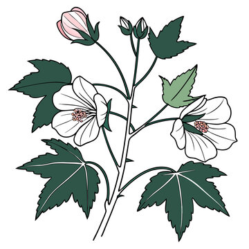 branch of a tree with  abutilon plant