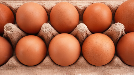 Organic chicken eggs in a paper chicken eggs
