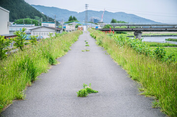 道の真ん中に草が生える地方の散歩道と夏の気配