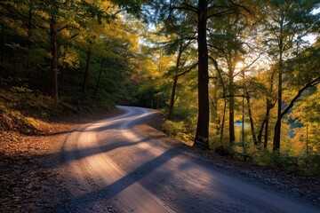 Winding Forest Dirt Road through Autumn Foliage in Golden Evening Light
