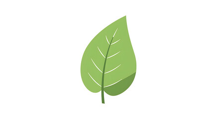 Fototapeta premium Vibrant leaf: A captivating illustration featuring a singular, verdant leaf, embodies the spirit of nature's simple elegance.