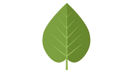 Fototapeta premium Green Leaf: A simple, single green leaf with prominent veins, representing growth and the essence of nature.