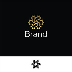 Golden Hexagonal David Star Spark Logo with Black and White Background.