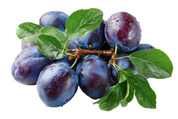 Harvesting juicy plums orchard food photography natural setting. Isolated on transparent background, png.