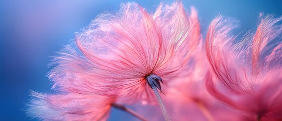 Delicate Pink Flowers, a Breathtaking Macro Shot of Nature's Beauty, Exquisite Details of Petals and Soft Texture, Light and Airy Feel