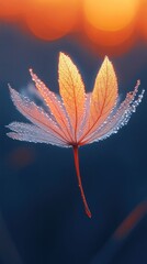 Dew-Kissed Leaf at Sunset: A Moment of Serene Beauty