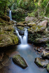 small waterfall in the green deep forest