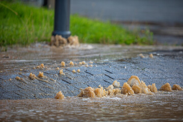 Sewage or Muddy Water Overflow from Utility Pole Base