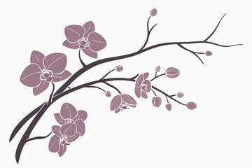 Aesthetic illustration of a branch with purple orchids and buds on a white background with a dark stem