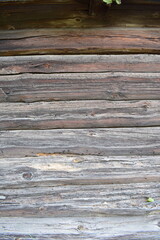 Close-up of old weathered wooden wall with cracks, decay, knots, and insect damage. Rustic texture, aged timber, natural erosion &mdash; ideal for backgrounds or textures