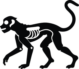 skeleton of monkey animal silhouette