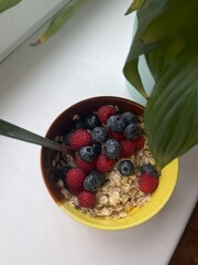 Bowl of oatmeal with berries