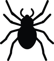 spider on web silhouette