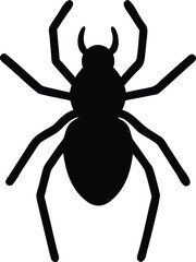 spider on web silhouette