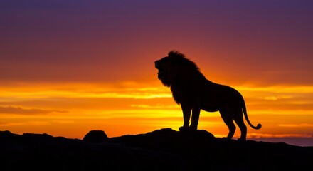 Majestic lion silhouette roaring against a vibrant african sunset
