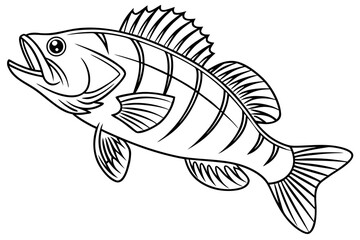 coloring page line art the perch black vector