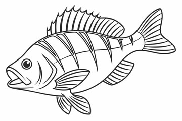 coloring page line art the perch black vector