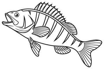 coloring page line art the perch black vector